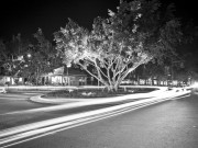 Noosa Roundabout